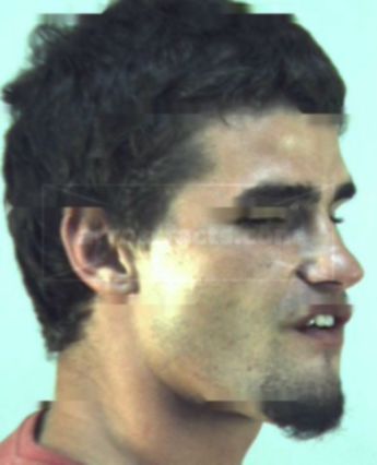 Michael Lloyd Rodebush