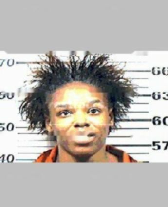 Tammy L White