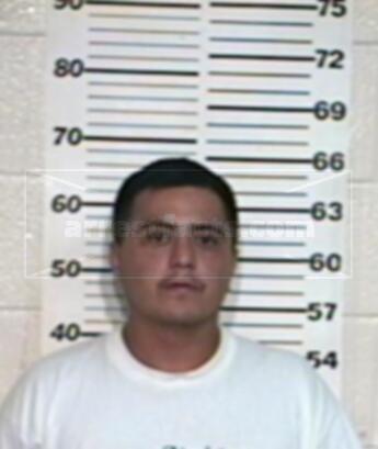 Hector David Trevino Flores