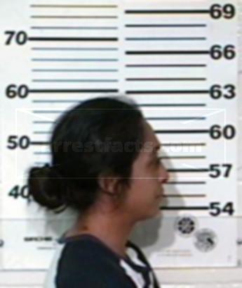 Maricela Correa Trevino