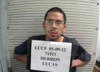Lucas Pedro Herron