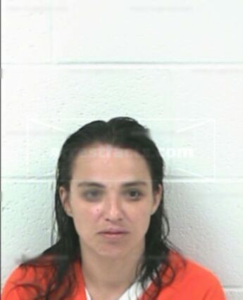 Christine Arin Shanahan