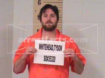 Tyson Will Whitehead