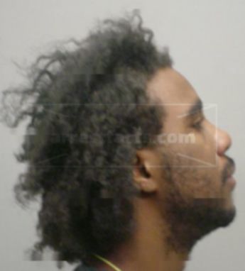 Torrey T Heron