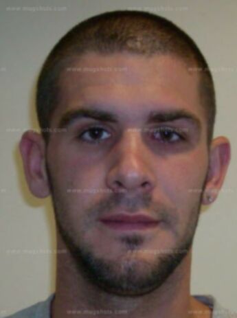 Daniel J Orrick