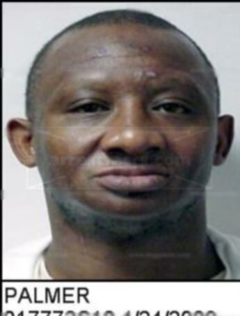 Earl Fitzgerald Palmer Jr.