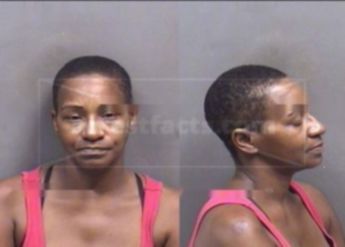 Chenelle Fields Audiffred