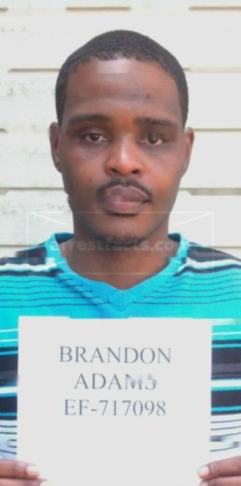 Brandon Dayon Adams