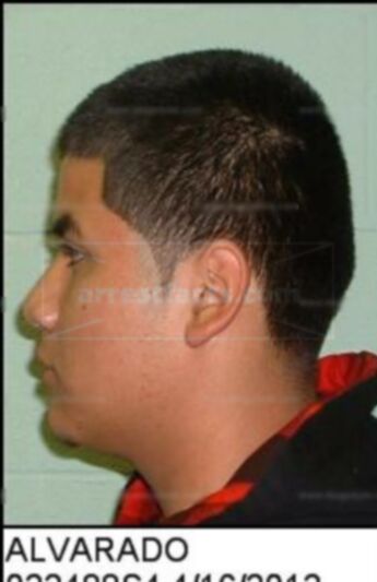 Christian Alvarado