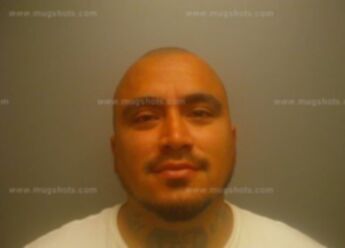 Michael L Gonzales