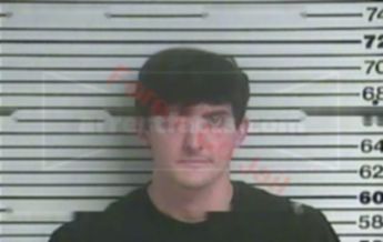 Nicholas R Carr