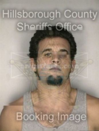 Chad Austin Bridges