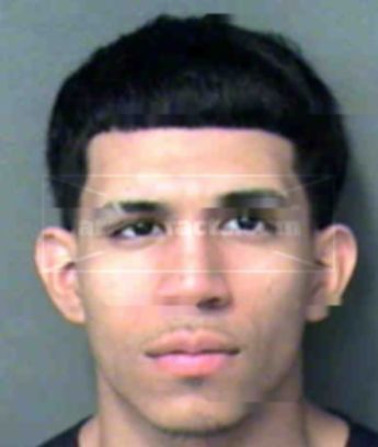 Davie Hernandez