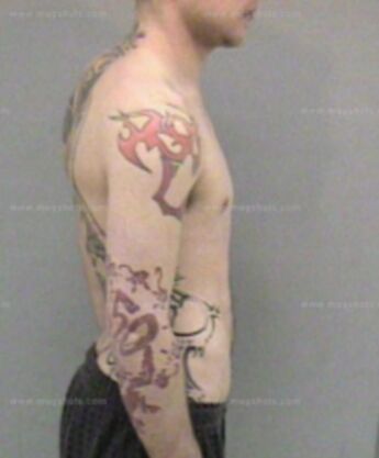 Travis Evans
