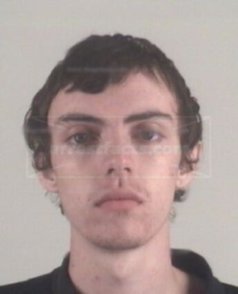 Dalton Willis