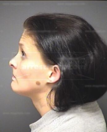 Courtney Elizabeth Mclendon