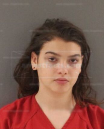 Ashley R Burnette