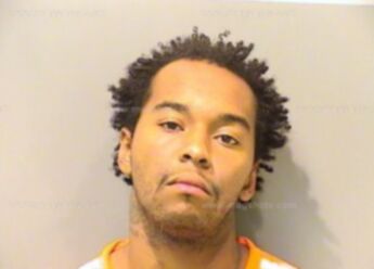 Stefano K. Childress