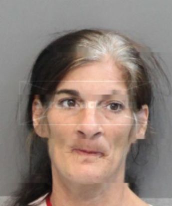 Rebecca Ann Browning
