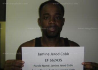 Jamine Jerod Cobb