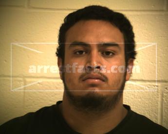 Irvin Manuel Luna Martinez