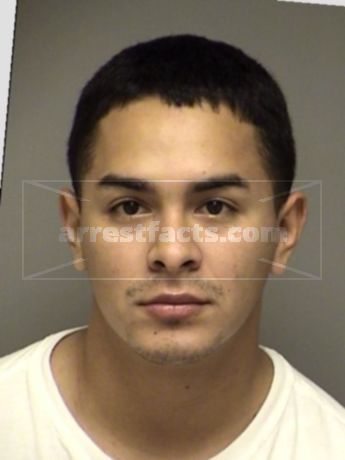 Rene Anthony Almaguer