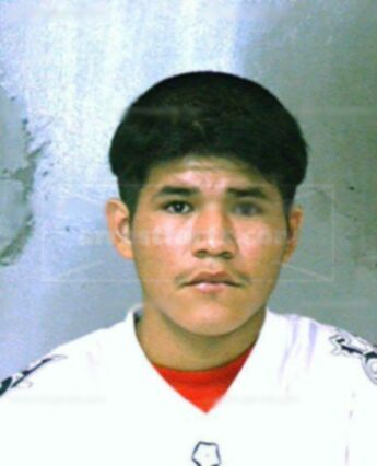 Guadalupe Acosta