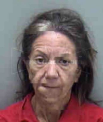 Elizabeth Ann Curtis
