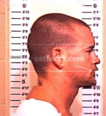 Michael Shepard Nelson