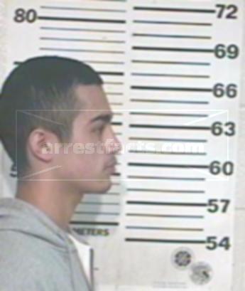 Rogelio Iii Anzaldua Ortiz