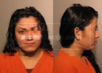 Karla Diaz-Castaneda