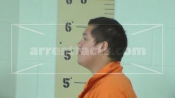 J Pasqual Hernandez