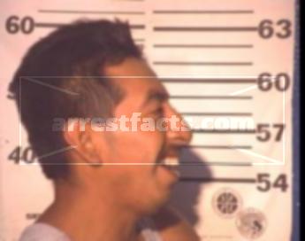 Genaro Santiago Vidales