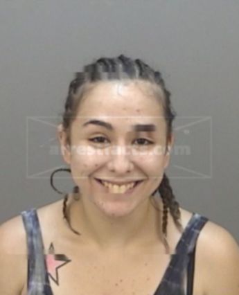 Erin Michelle Ramirez