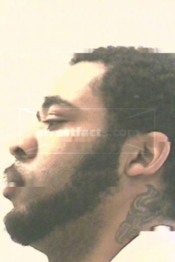 Brian Peyton Mcghee