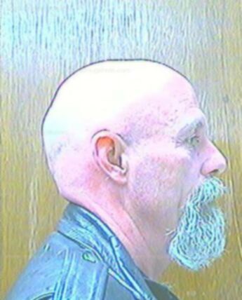 Lanny L Holman
