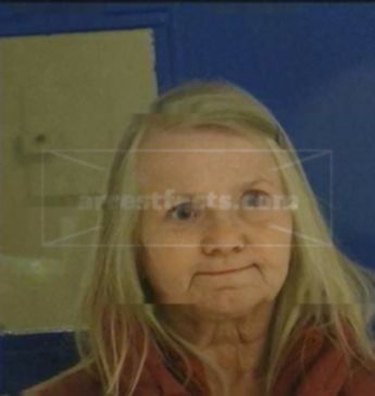Carol Ann Horn