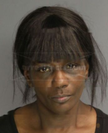 Cynthia J Johnson