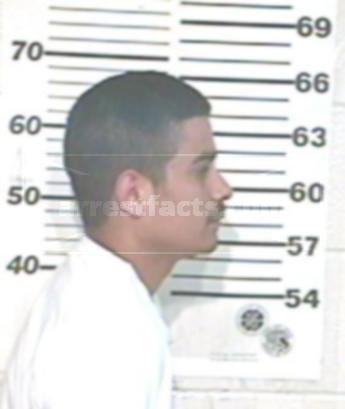 Leo Negrete Ramirez