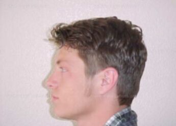 Brandon C Palmer