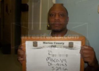 Macaya Hankins