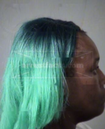 Wanda Renee Brown