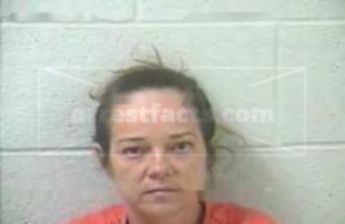 Misty Ann Fields