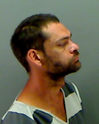 Steven Michael Williamson