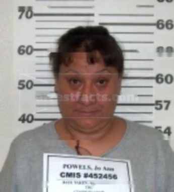 Jo Ann M Powels