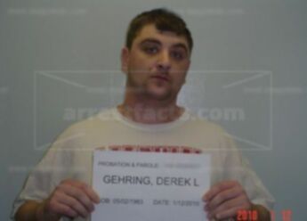 Derek L Gehring