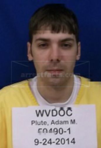Adam M Plute