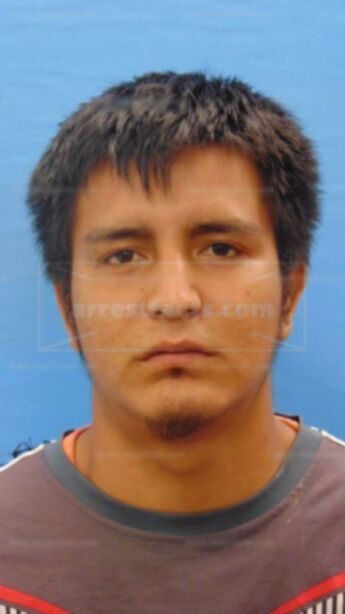 Luis E Perez-Navarro