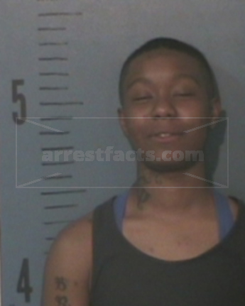 Imari Cachet Brown