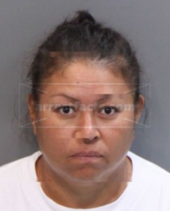 Rubicelia Arroyo-Rodriguez